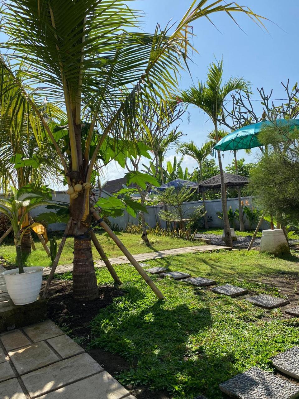 Hotel Sumbul View Surfcamp Airsatang Esterno foto